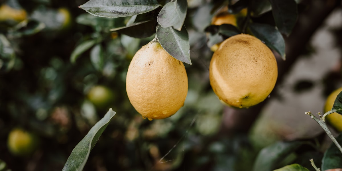 Managed IT services in Corona, California