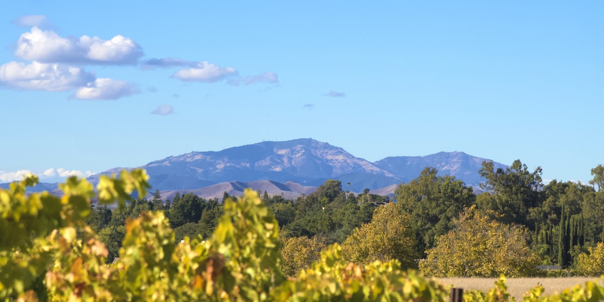 Managed IT services in Rancho Cucamonga, California