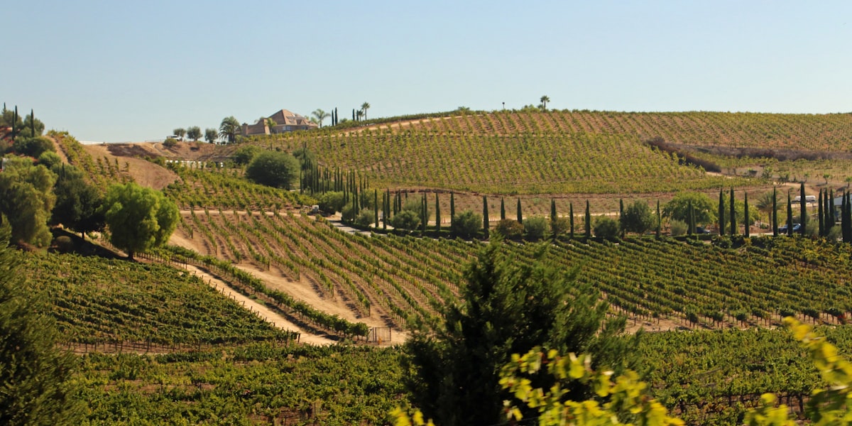 Managed IT services in Temecula, California